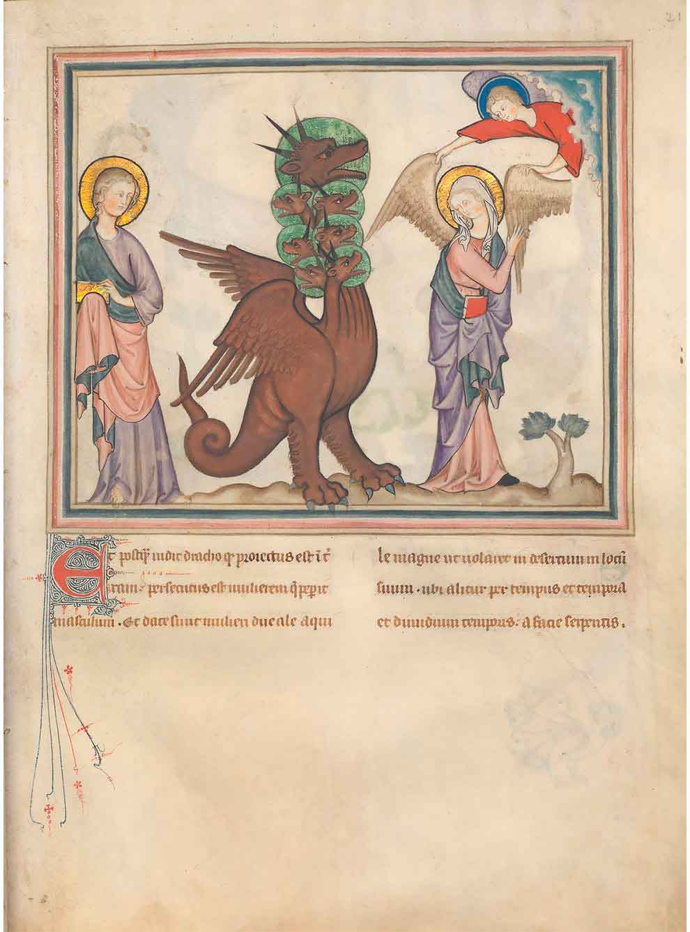 Дракон и Жена, 1330 год, Нормандия
